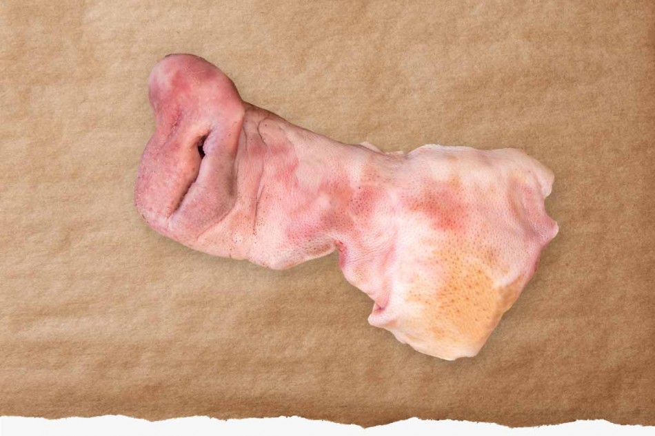1 Schweine Schnauze standard