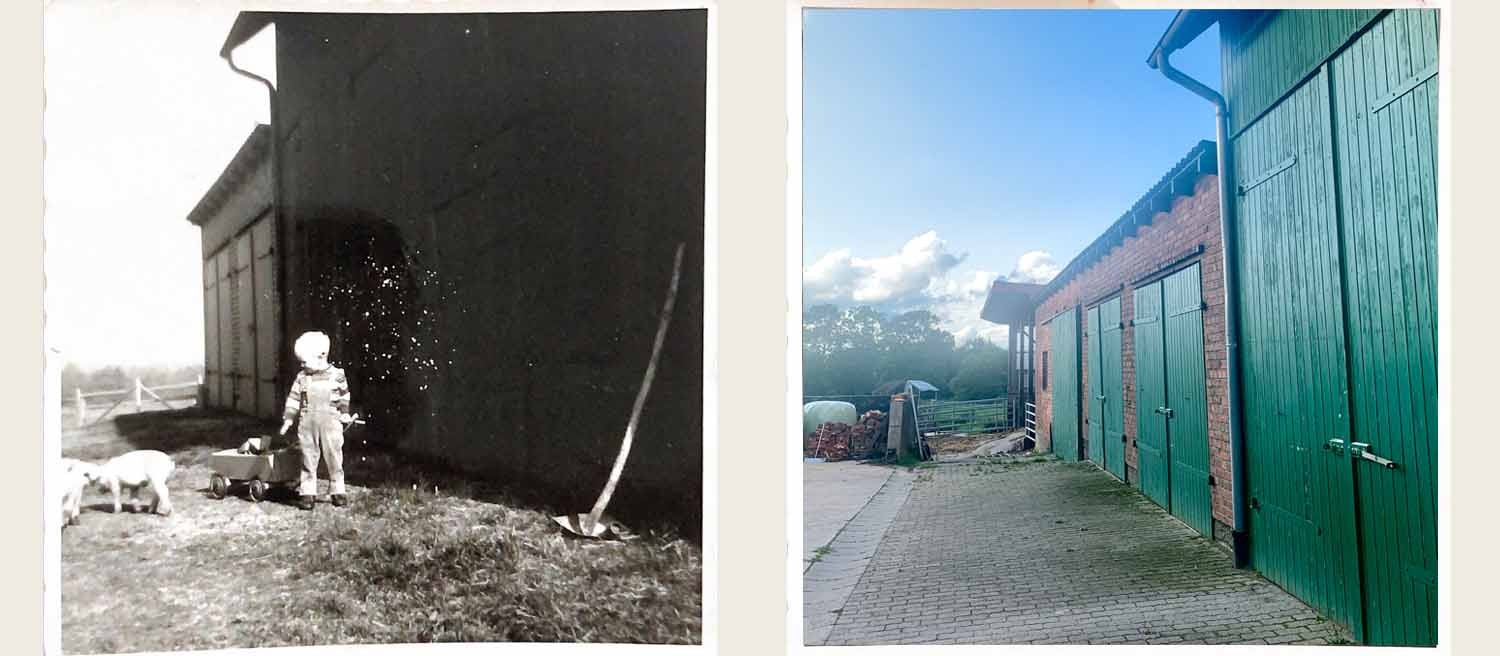 Blog-Titelbild-Detlev-Buck-NEU
