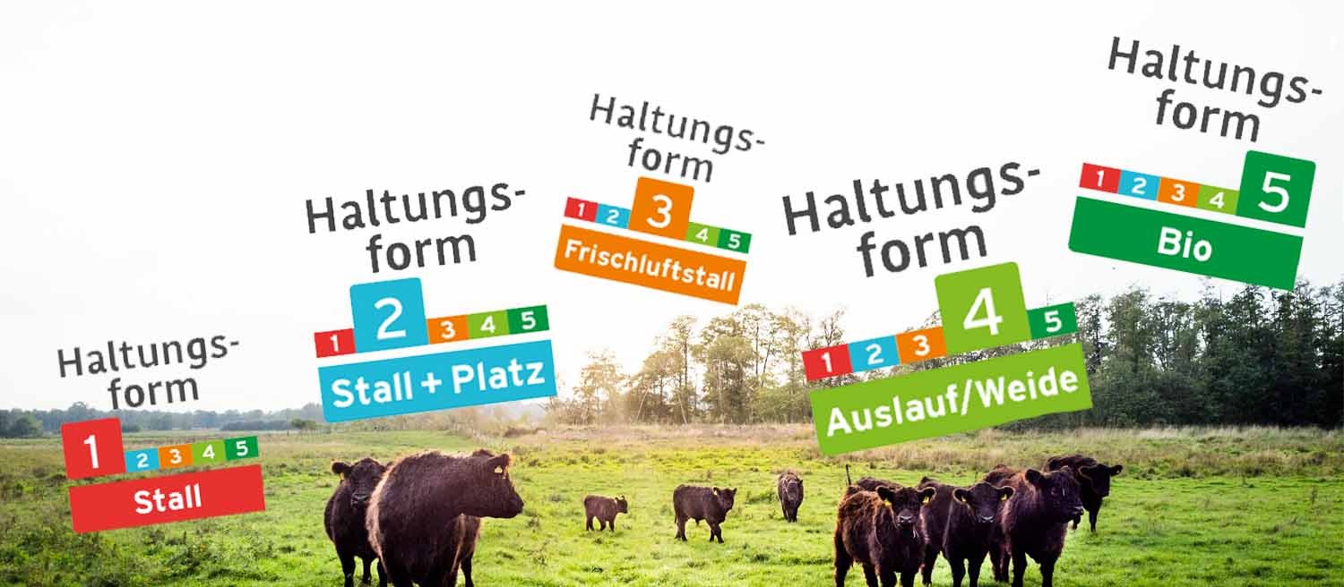 Blogbeitrag-Preisbildung