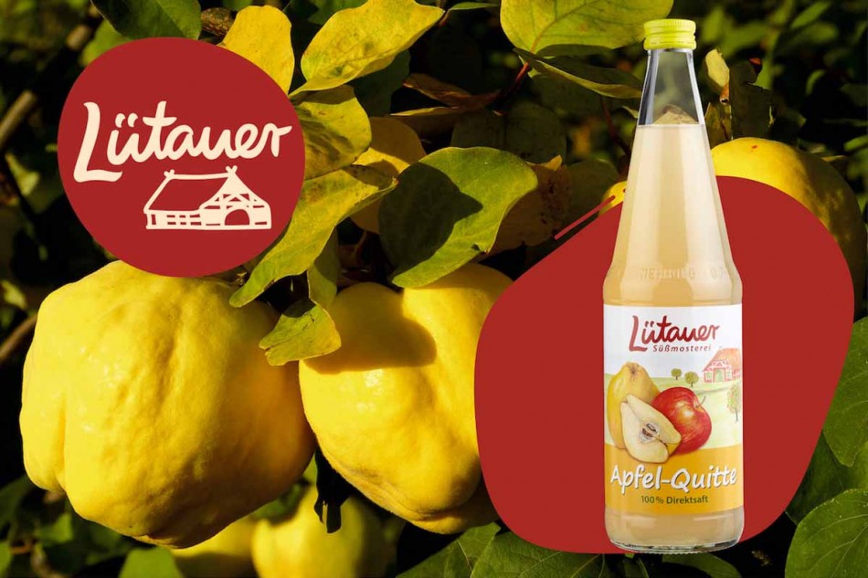 Apfel-Quittensaft von Lütauer standard