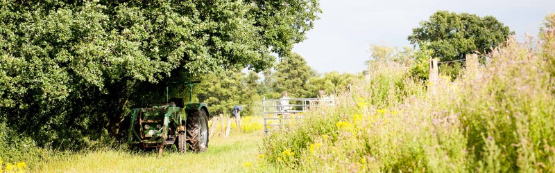media/image/landwirtschaft_trecker.jpg