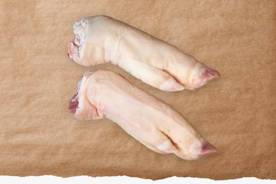 2 Schweine Spitzbeine standard