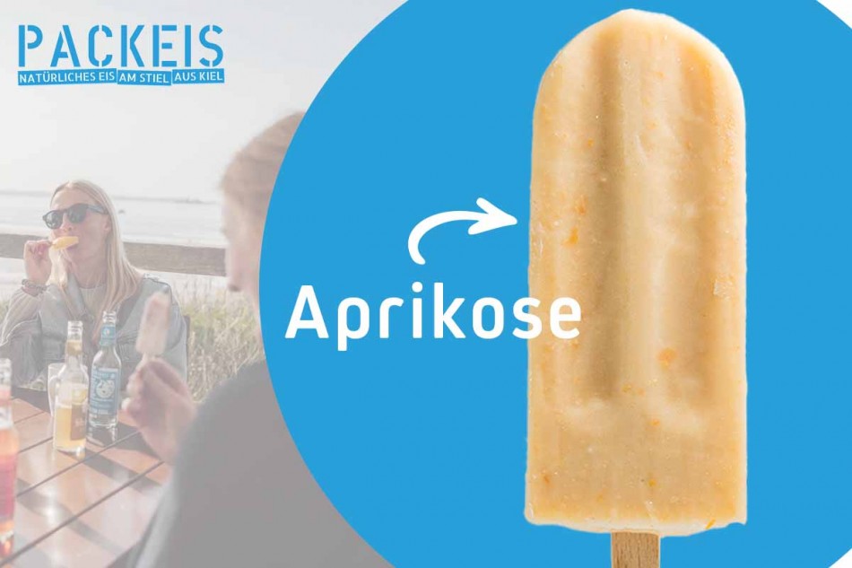 Joghurt Aprikose Packeis standard