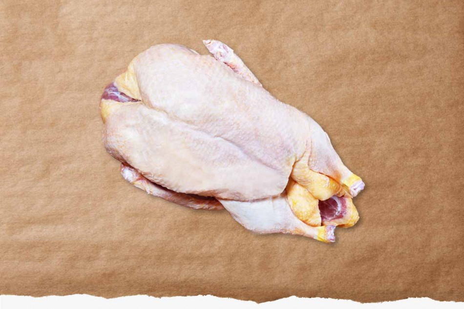 1 Ente groß standard