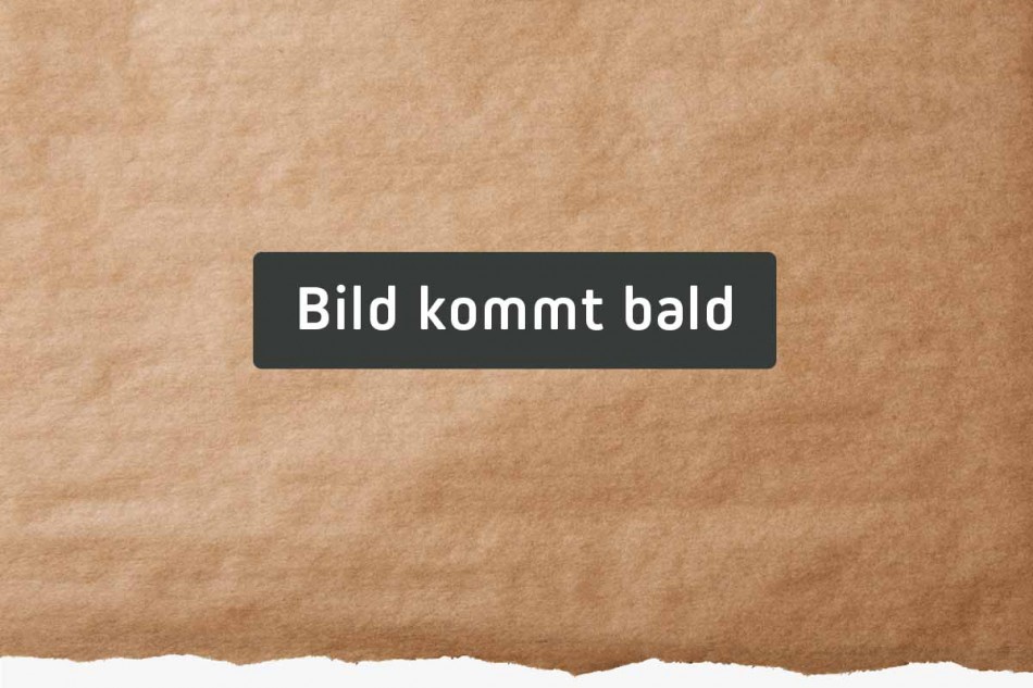 Schweine Niere standard