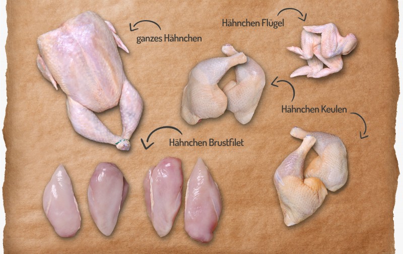 media/image/GefluegelUEbersicht-mit-gHaehnchen_web-Abriss_mPfeilen.jpg