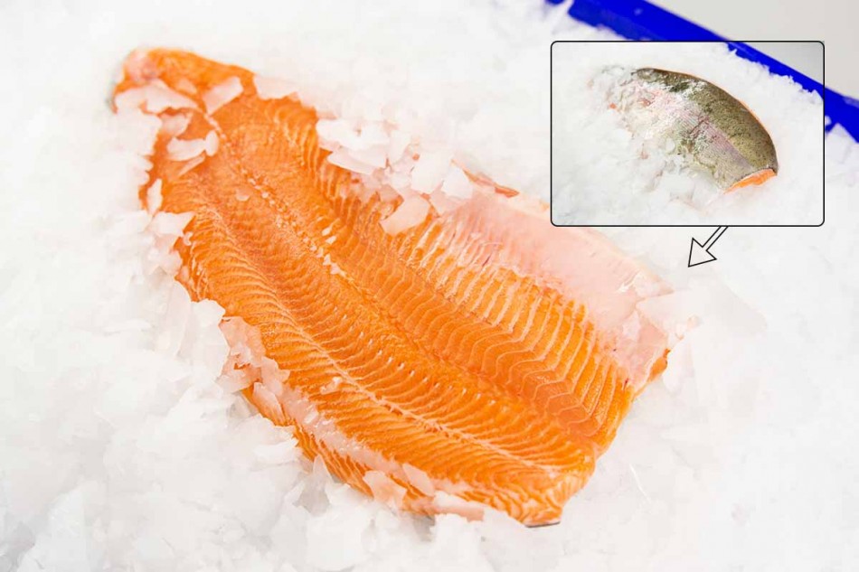Bio Lachsforellen-Filet standard