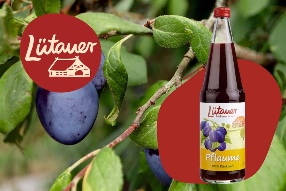 Pflaumensaft von Lütauer standard